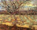 Apricot Trees in Blossom Vincent van Gogh